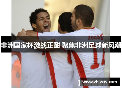 非洲国家杯激战正酣 聚焦非洲足球新风潮