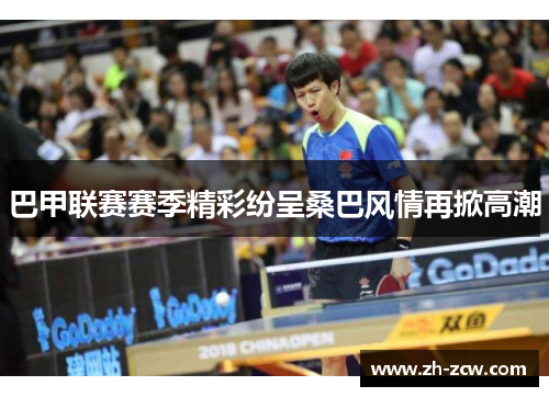 巴甲联赛赛季精彩纷呈桑巴风情再掀高潮